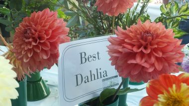 Welcome to the Barham & District Horticultural Society