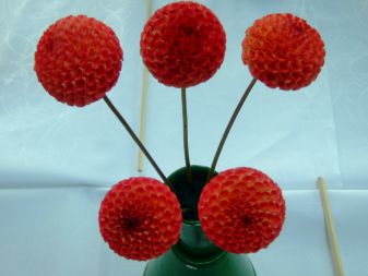 Welcome to the Barham & District Horticultural Society