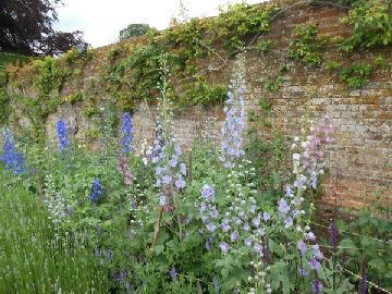 Coach Outing to Polesden Lacey National Trust