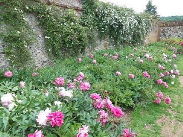 Coach Outing to Polesden Lacey National Trust