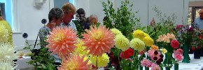 2023 Autumn Show 2023 Autumn Show