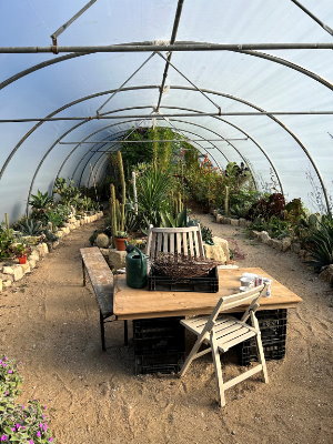 The exotic poly tunnel