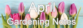 Latest Gardening notes
