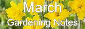 Latest Gardening notes