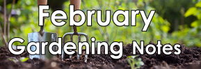 Gardening notes For February