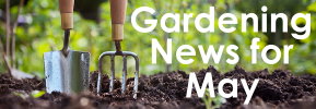 Gardening notes For May