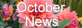 Latest News Update